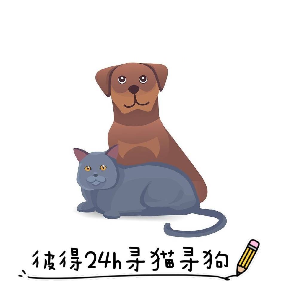 寻猫找狗团队侦探